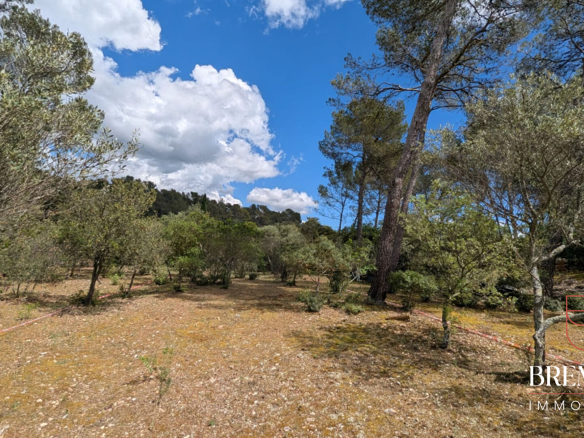 Terrain constructible Garéoult 1000 m2