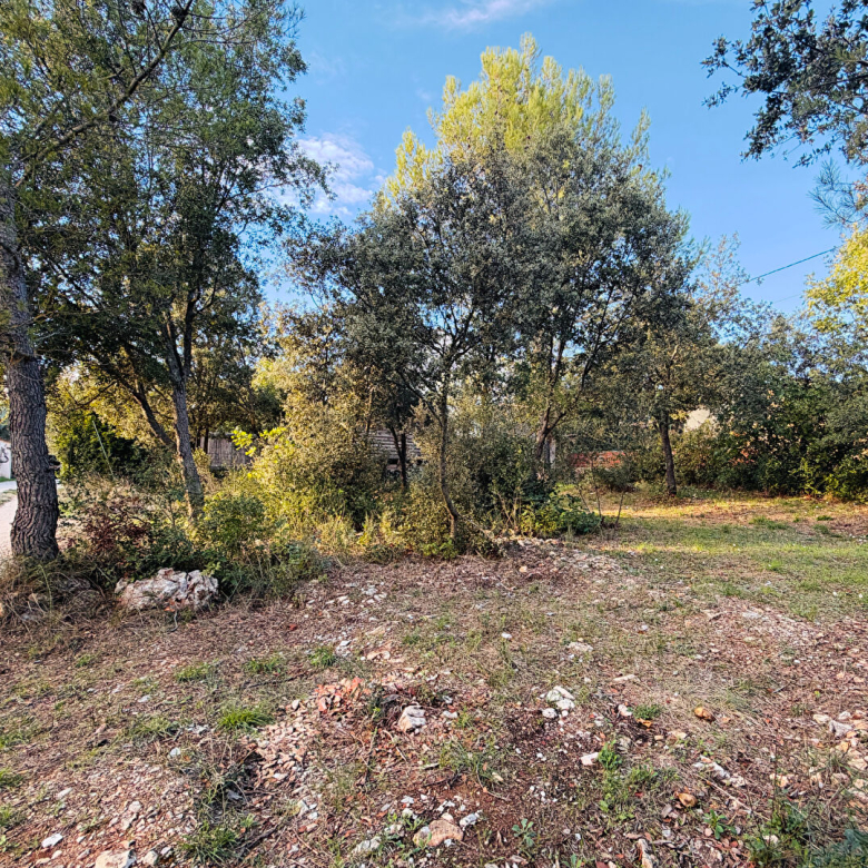Terrain constructible rare Saint Maximin 1385m2 15% d’emprise au sol