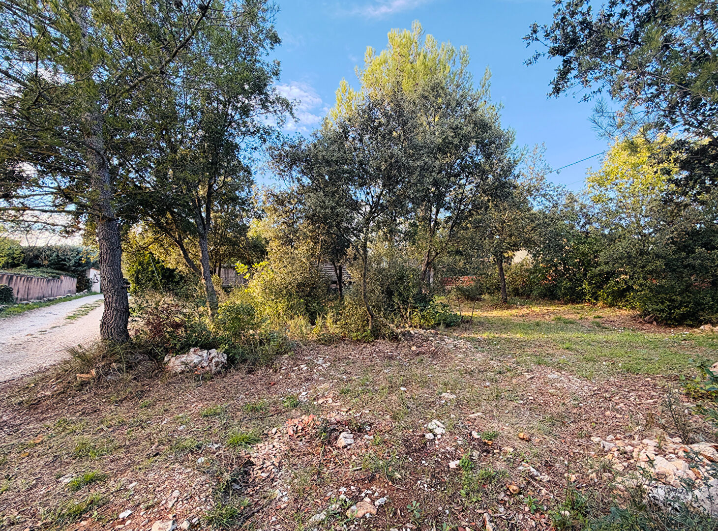 61684657a Terrain constructible rare Saint Maximin 1385m2 15% d’emprise au sol